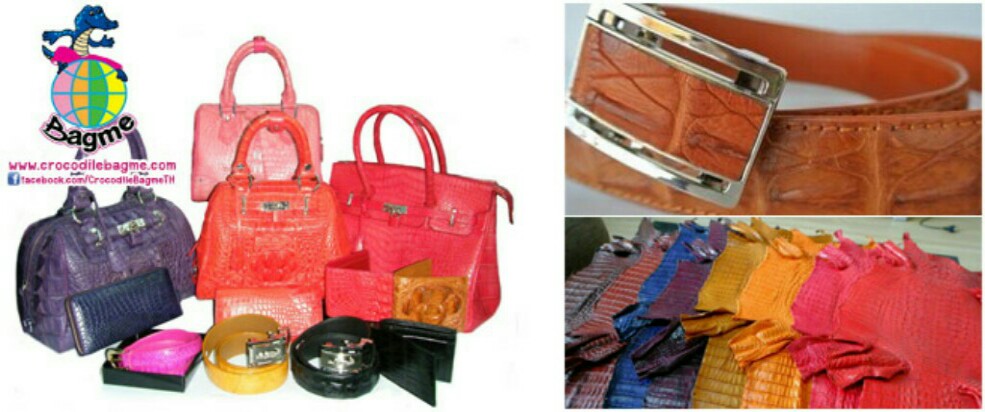 ������˹ѧ������� ����Ѵ �ǧ�ح�� ˹ѧ��Grade A 100% ʹ���. 099-1456-635 Line ID:jomkondee