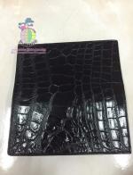 ������� PP ���º��ͧ