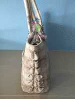 ������� �����Ҷ�� �о��˭ԧBK499 ˹ѧ��ѧ