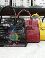 ������� �����Ҷ�� �о��˭ԧBN541 ˹ѧ��ͧ