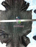 �������  ��˹ѧ�� �͡��