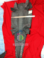 �������  ��˹ѧ�� �͡��