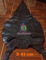 �������  ��˹ѧ�� �͡��