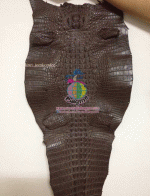 �������  ��˹ѧ�� �͡��