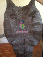 �������  ��˹ѧ�� �͡��