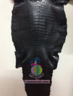 �������  ��˹ѧ�� �͡��