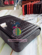 ������� �����Ҷ�� �о��˭ԧBT8103 ���