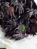 ������� �ǧ�حᨢҨ�����˹�� ���