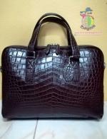 ������� �о�ª��BN983 ˹ѧ��ͧ