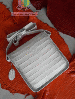 ������� �о�ª��BS903 ˹ѧ��ͧ