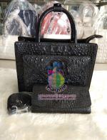 �ҹ��� �����Ҷ�� �о��˭ԧBT8173 ���+������ʵҧ��