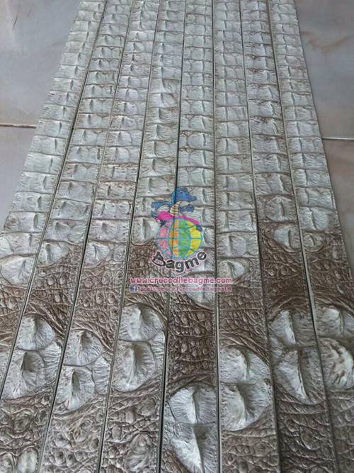 �ٻ�Ҿ���2 �ͧ�Թ��� : ������� ����Ѵ 1.5 ���� ��д١