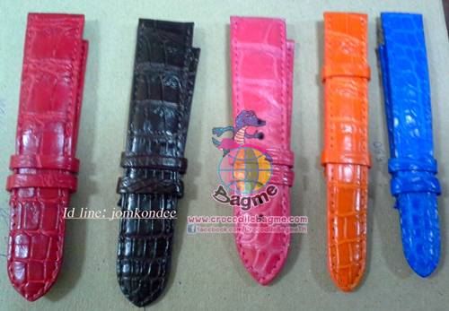 �ٻ�Ҿ���2 �ͧ�Թ��� : ������� ��¹��ԡ� 16