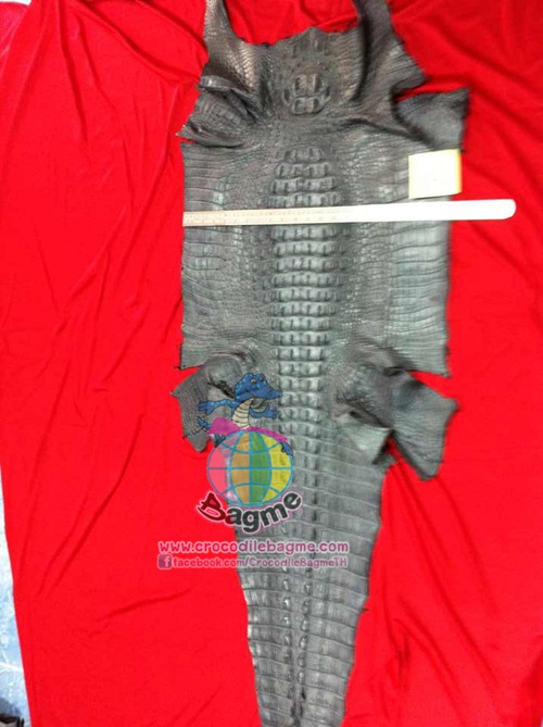 �ٻ�Ҿ���2 �ͧ�Թ��� : �������  ��˹ѧ�� �͡��