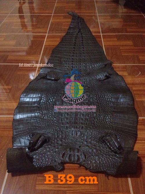 �ٻ�Ҿ���2 �ͧ�Թ��� : �������  ��˹ѧ�� �͡��