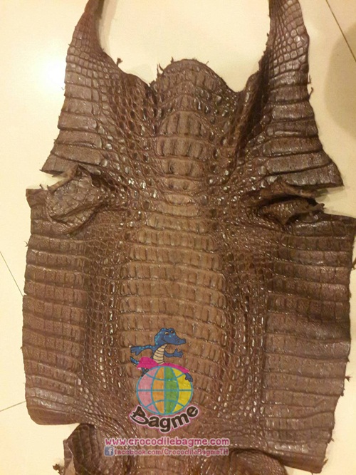 �ٻ�Ҿ���2 �ͧ�Թ��� : �������  ��˹ѧ�� �͡��