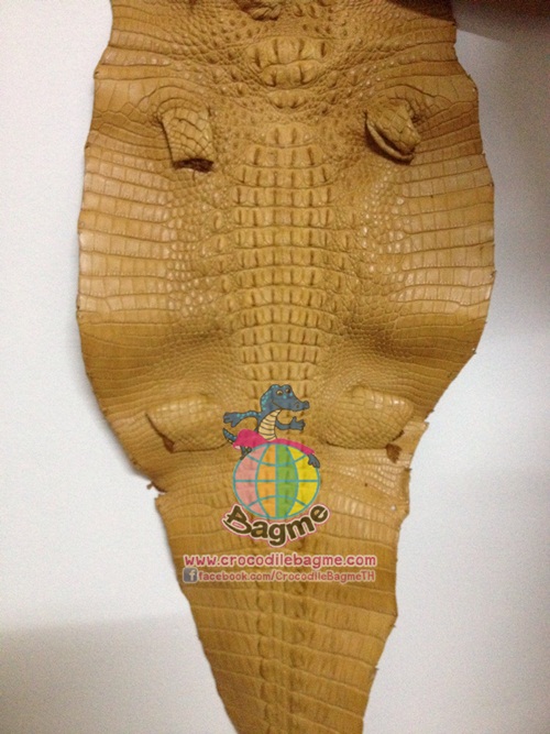 �ٻ�Ҿ���2 �ͧ�Թ��� : �������  ��˹ѧ�� �͡��