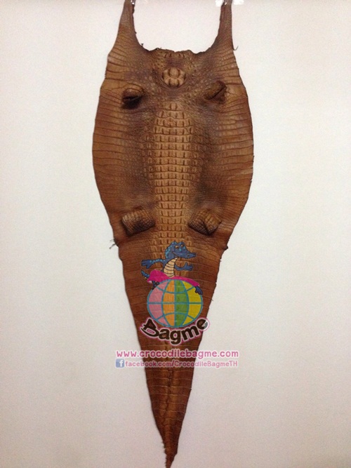 �ٻ�Ҿ���2 �ͧ�Թ��� : �������  ��˹ѧ�� �͡��