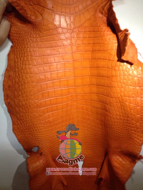 �ٻ�Ҿ���2 �ͧ�Թ��� : �������  ��˹ѧ�� �͡��