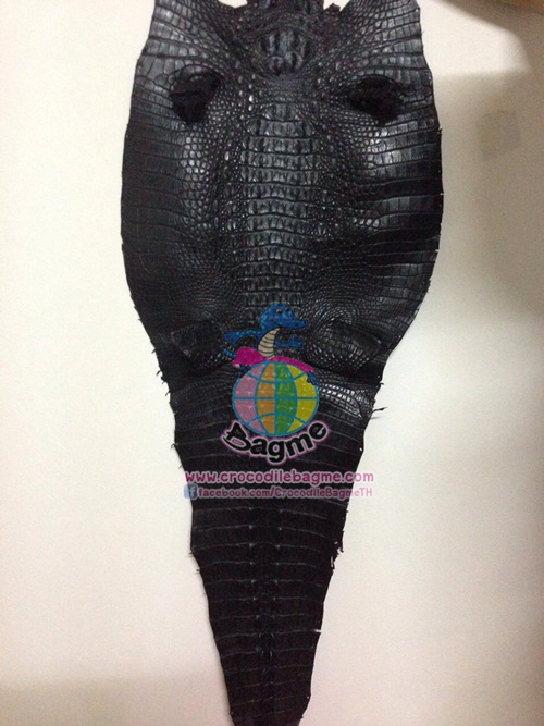 �ٻ�Ҿ���2 �ͧ�Թ��� : �������  ��˹ѧ�� �͡��