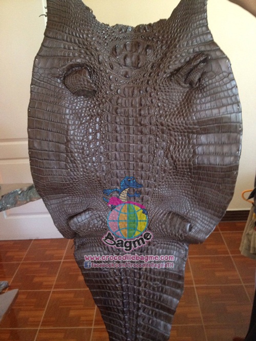 �ٻ�Ҿ���2 �ͧ�Թ��� : �������  ��˹ѧ�� �͡��