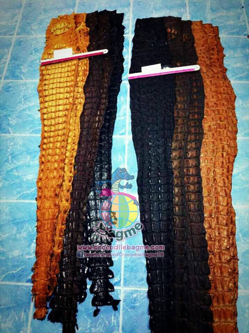 �ٻ�Ҿ���2 �ͧ�Թ��� : �������  ��˹ѧ�� �͡��