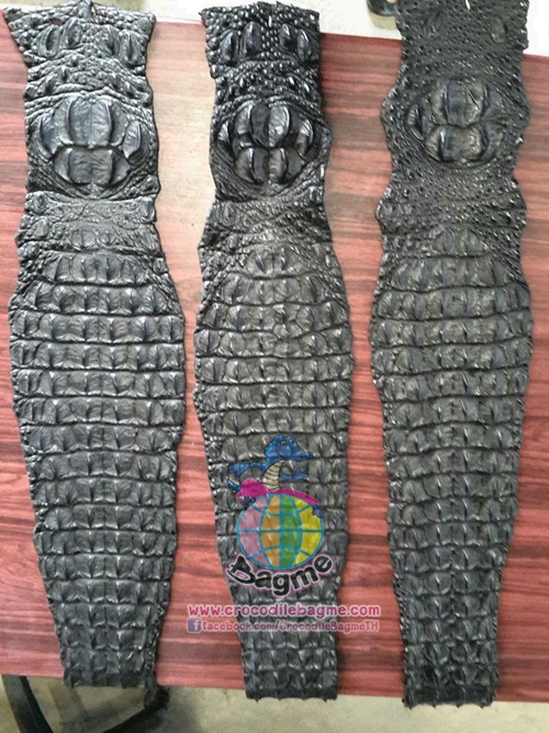 �ٻ�Ҿ���2 �ͧ�Թ��� : �������  ��˹ѧ�� �͡��