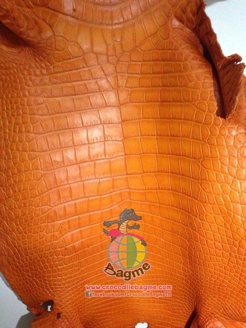 �ٻ�Ҿ���2 �ͧ�Թ��� : �������  ��˹ѧ�� �͡��