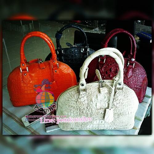 �ٻ�Ҿ���2 �ͧ�Թ��� : ������� �����Ҷ�� �о��˭ԧBJ319  ˹ѧ��ѧ