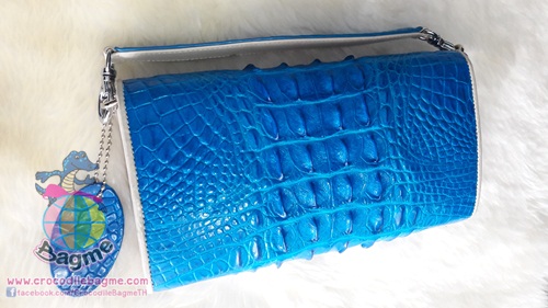 �ٻ�Ҿ���2 �ͧ�Թ��� : ������� �����Ҷ�ͤ�Ѫ BC206 �ҧ