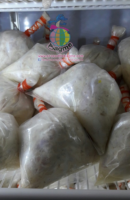 �ٻ�Ҿ���2 �ͧ�Թ��� : �������  ���ͨ������� ���ç