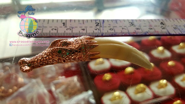 �ٻ�Ҿ���2 �ͧ�Թ��� : �������  ����Ǩ�����������ͧ (������͹�Թ �غ�ͧ������)