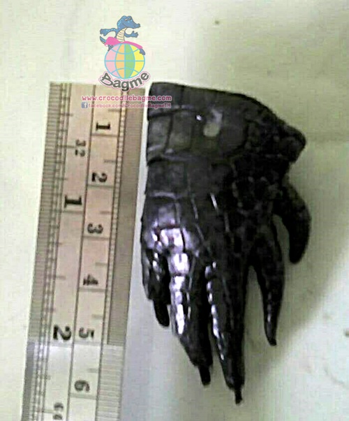 �ٻ�Ҿ���2 �ͧ�Թ��� : ������� �ǧ�حᨢҨ�����˹�� ���360