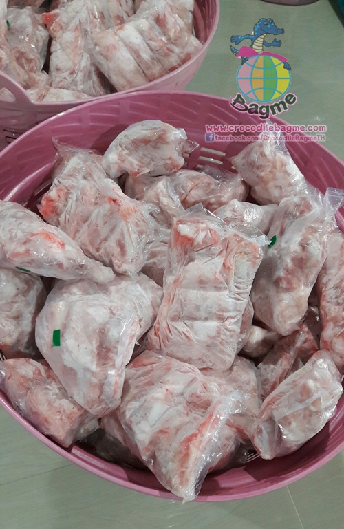 �ٻ�Ҿ���2 �ͧ�Թ��� : �������  ���ͨ����ʴ���� ���ç