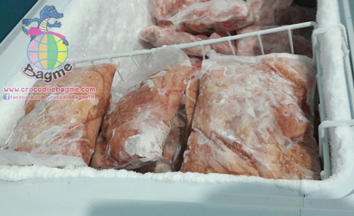 �ٻ�Ҿ���2 �ͧ�Թ��� : �������  ���ͨ����ʴ���� �������