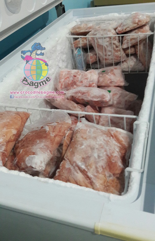 �ٻ�Ҿ���2 �ͧ�Թ��� : �������  ���ͨ����ʴ���� ���