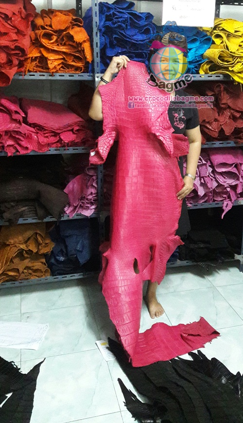 �ٻ�Ҿ���2 �ͧ�Թ��� : �������  ��˹ѧ�� �͡��