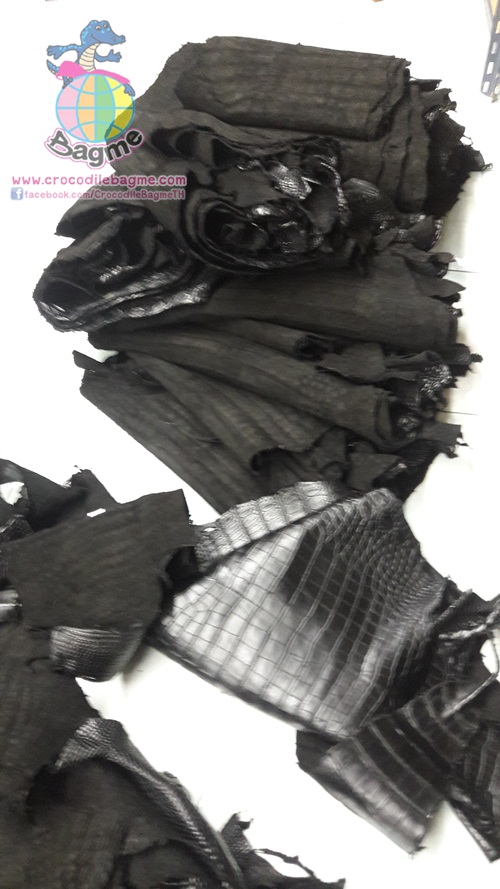 �ٻ�Ҿ���2 �ͧ�Թ��� : �������  ��˹ѧ�� �͡��