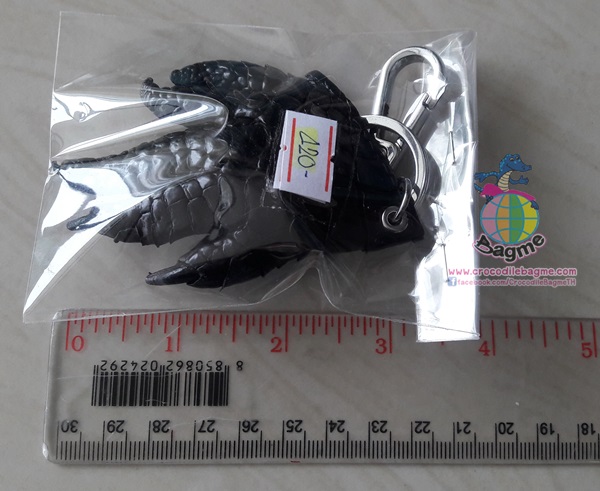 �ٻ�Ҿ���3 �ͧ�Թ��� : ������� �ǧ�حᨢҨ�����˹�� ��ҧ