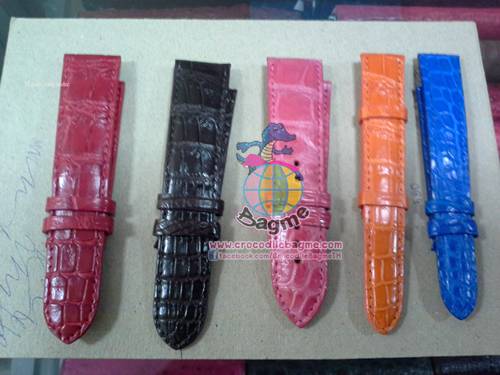 �ٻ�Ҿ���3 �ͧ�Թ��� : ������� ��¹��ԡ� 16