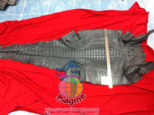 �ٻ�Ҿ���3 �ͧ�Թ��� : �������  ��˹ѧ�� �͡��