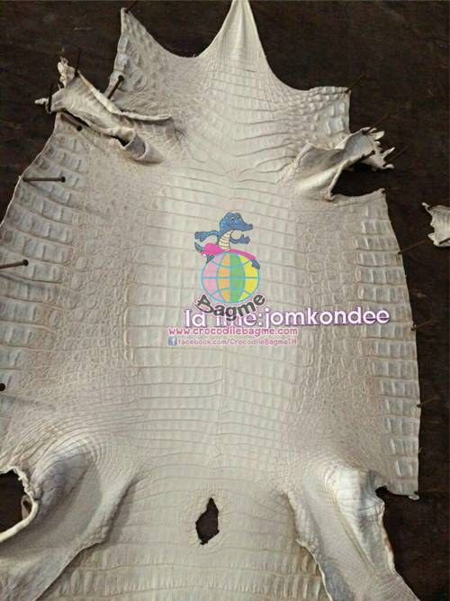 �ٻ�Ҿ���3 �ͧ�Թ��� : �������  ��˹ѧ�� �͡��