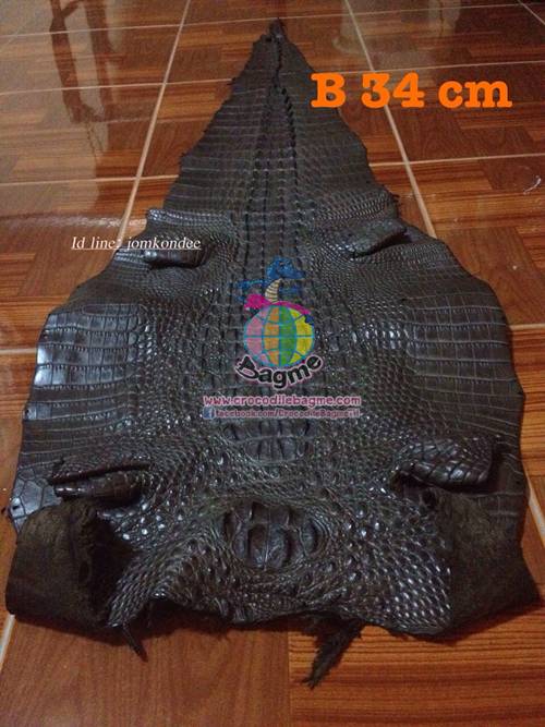 �ٻ�Ҿ���3 �ͧ�Թ��� : �������  ��˹ѧ�� �͡��