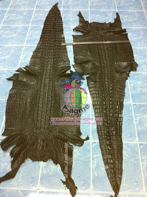 �ٻ�Ҿ���3 �ͧ�Թ��� : �������  ��˹ѧ�� �͡��