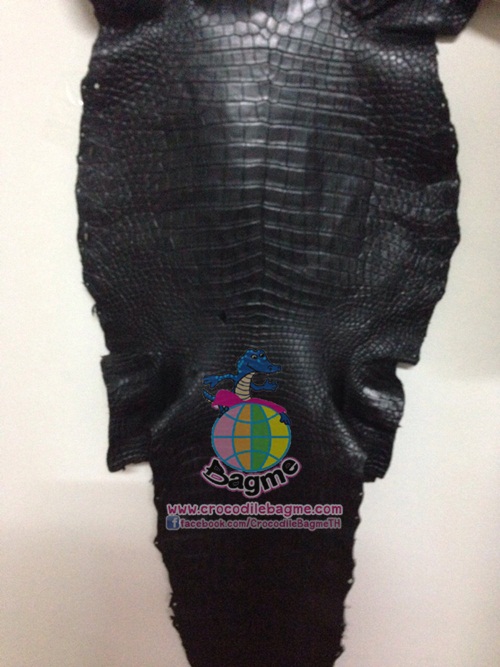 �ٻ�Ҿ���3 �ͧ�Թ��� : �������  ��˹ѧ�� �͡��