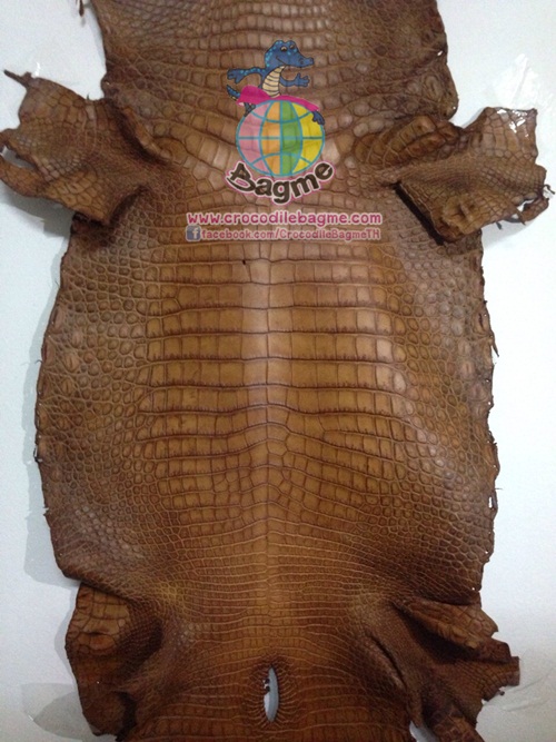 �ٻ�Ҿ���3 �ͧ�Թ��� : �������  ��˹ѧ�� �͡��