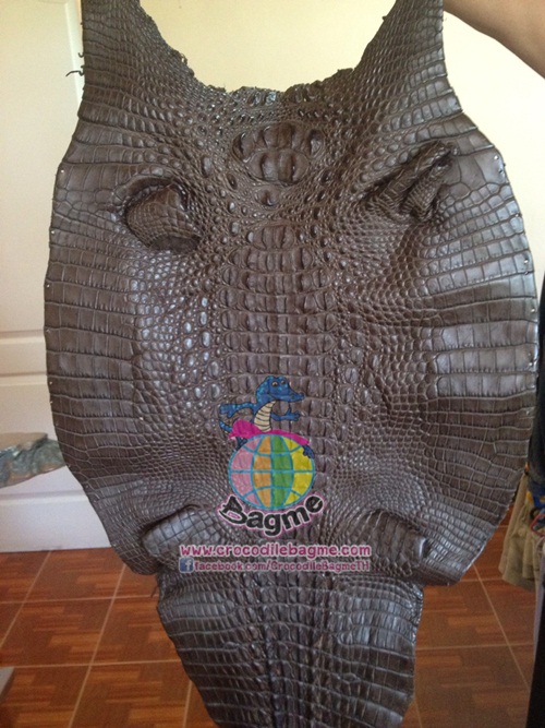 �ٻ�Ҿ���3 �ͧ�Թ��� : �������  ��˹ѧ�� �͡��