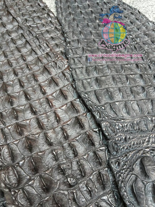 �ٻ�Ҿ���3 �ͧ�Թ��� : �������  ��˹ѧ�� �͡��