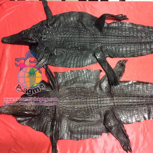 �ٻ�Ҿ���3 �ͧ�Թ��� : �������  ��˹ѧ�� �͡��