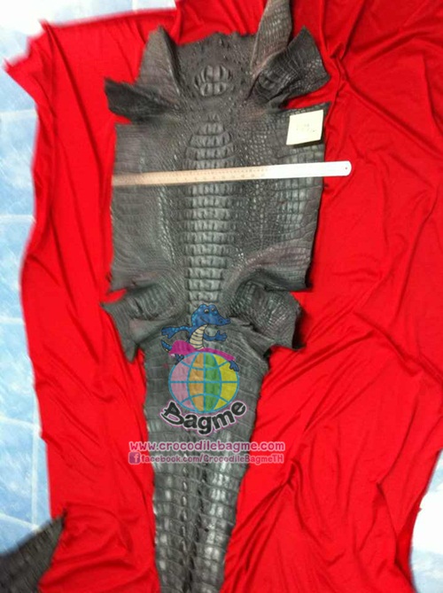 �ٻ�Ҿ���3 �ͧ�Թ��� : �������  ��˹ѧ�� �͡��